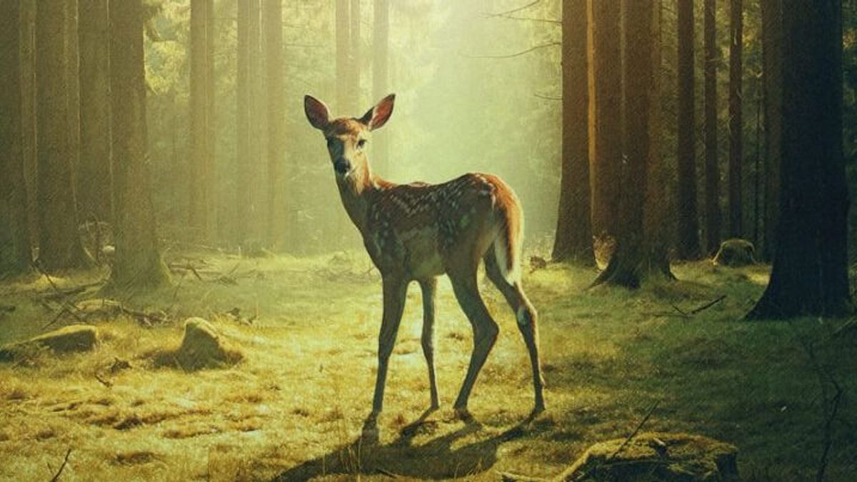 Élő szereplős, de nem vérszomjas Bambi-film érkezik a mozikba + videó