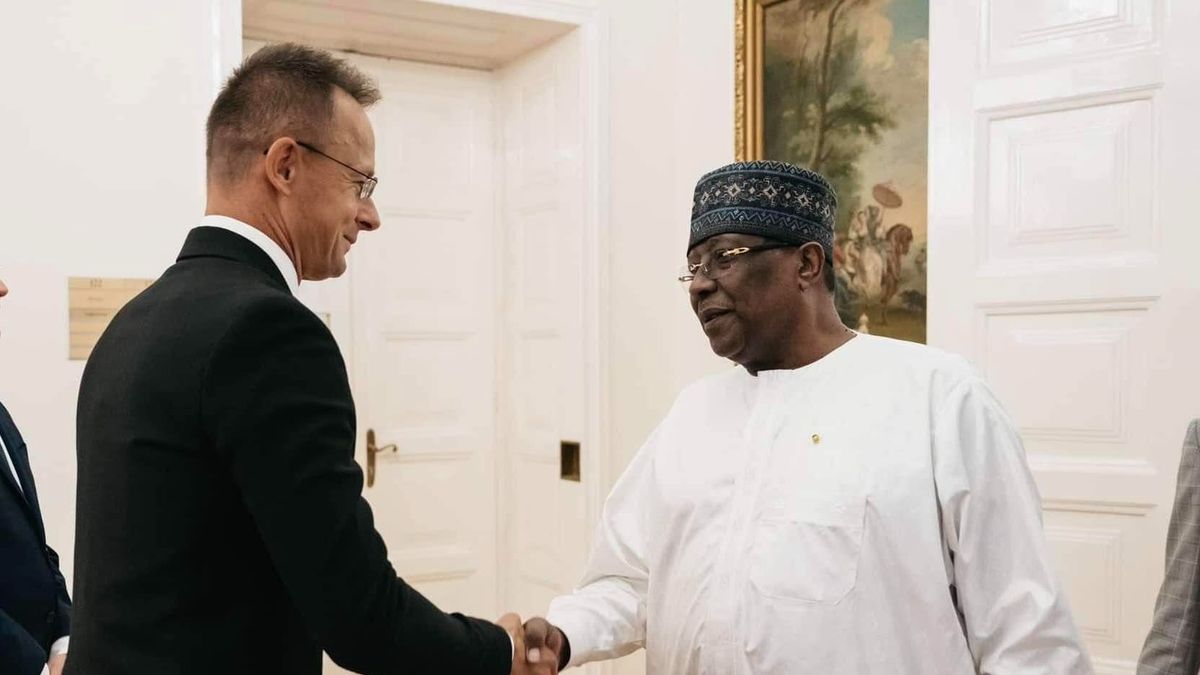 FM: Hungary Will Build Comprehensive Strategic Partnership with Chad