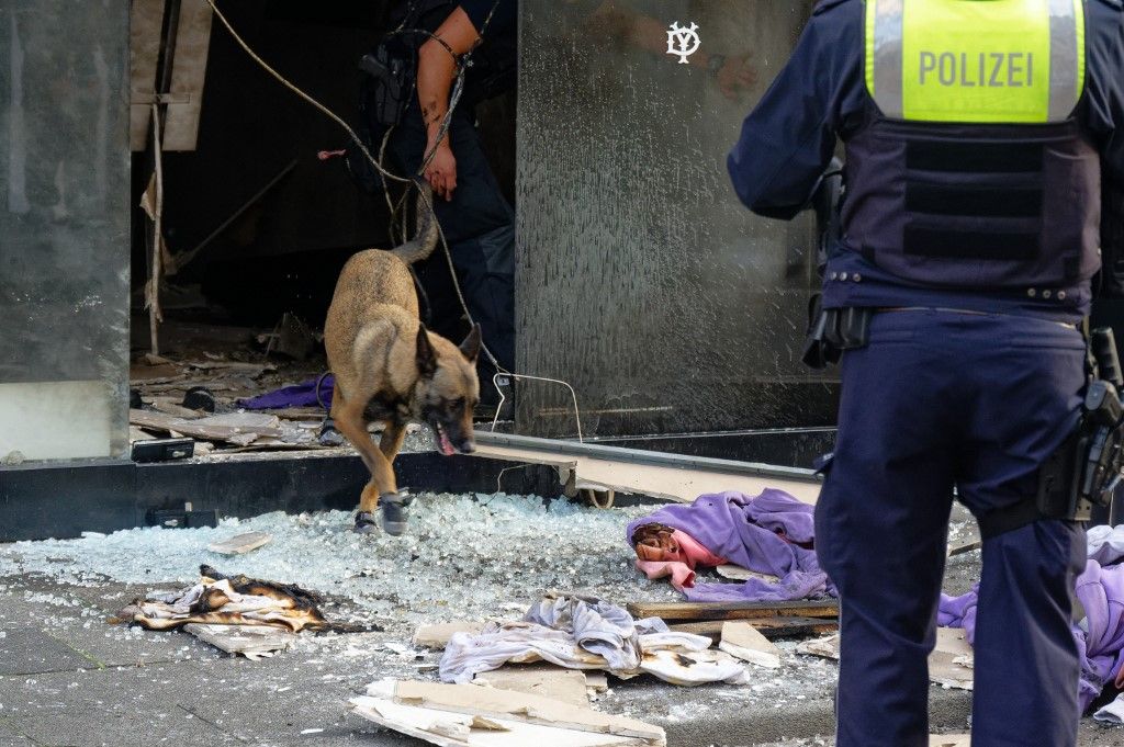 Rendőrkutya kutat egy üzlet romjai között Kölnben (Fotó: AFP)