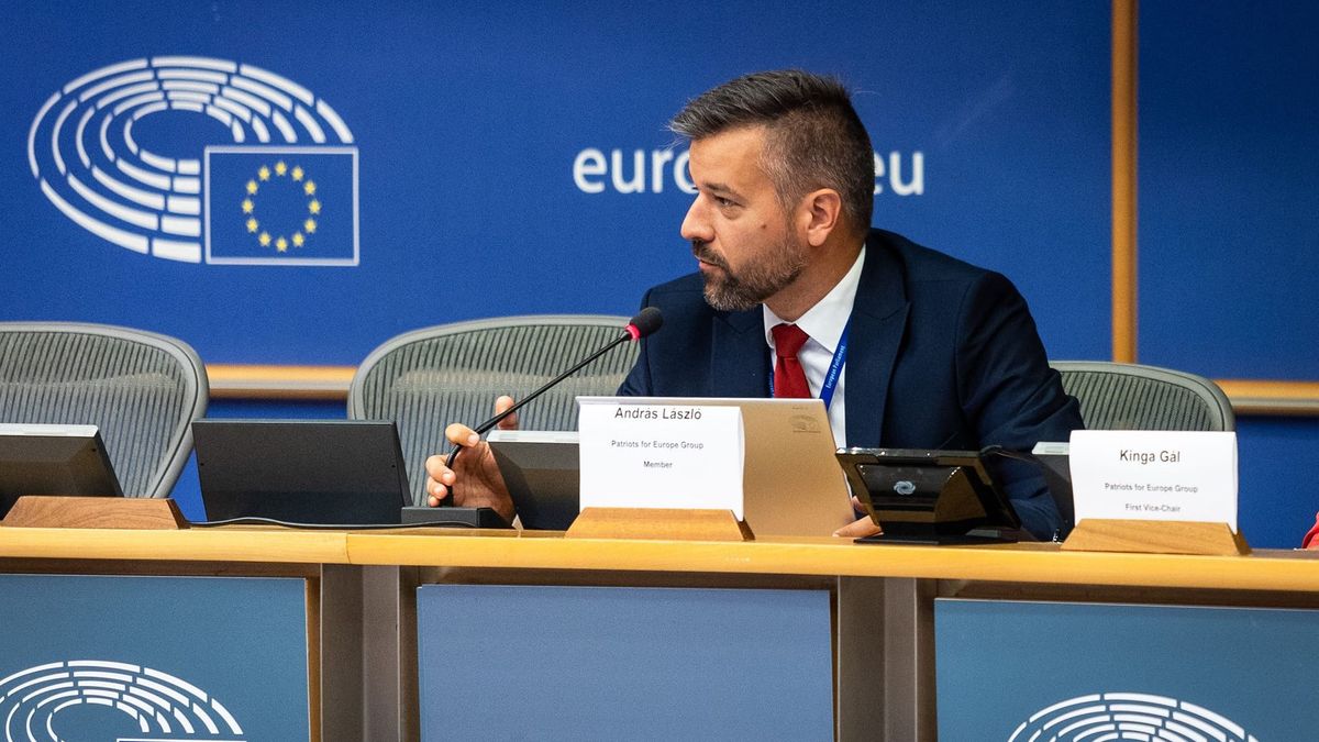 Fidesz MEP: We Witnessed a Completely Discredited, Cynical Display