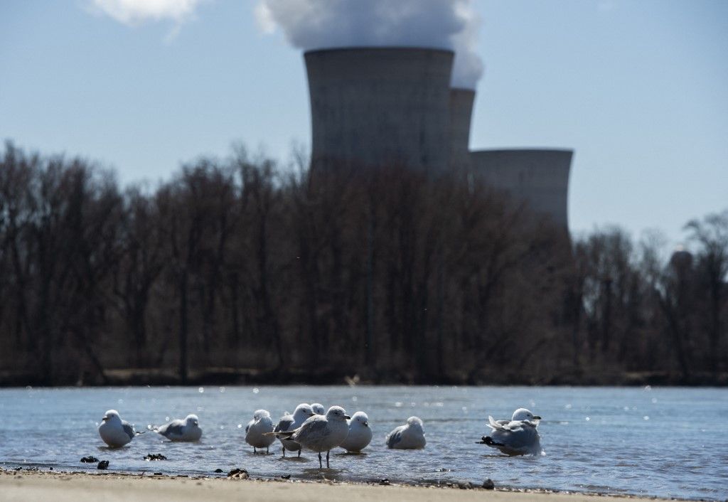 Madarak pihennek a Susquehanna folyó partján a pennsylvaniai Middletowntól délre fekvő Three Mile Island atomerőmű közelében 2019. március 26-án. Az erőmű, az Egyesült Államok történetének legsúlyosabb nukleáris balesetének helyszíne. Az erőmű üzemeltetője, a Constellation Energy bejelentése szerint 20 éven keresztül biztosítanak majd elektromos áramot a Microsoft számára.