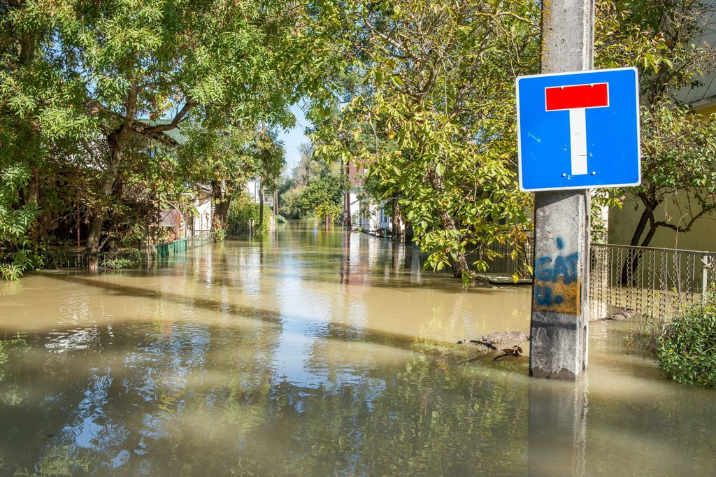 Baja, 2024. szeptember 21.
A megáradt Duna Bajánál, a folyóparti üdülõövezetben 2024. szeptember 21-én.
MTI/Kacsúr Tamás