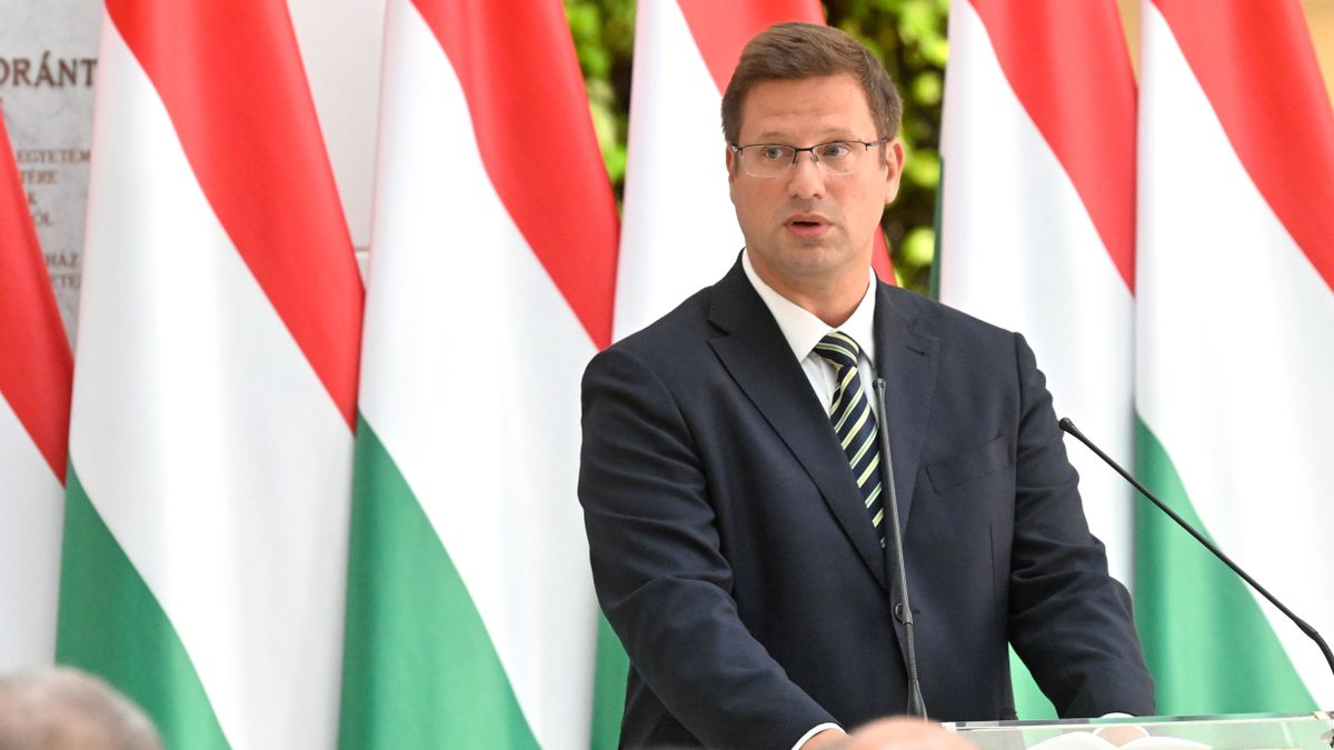Office Chief: Germany Should Join Hungary's Migration Fight Against Brussels