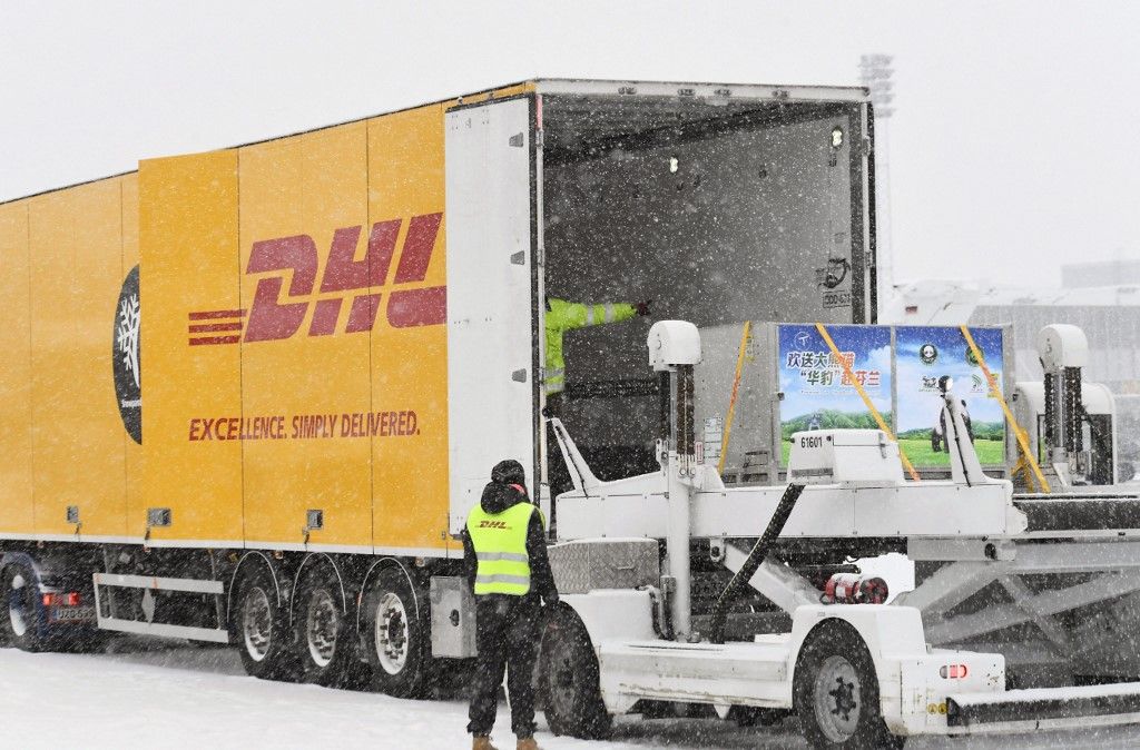 A két óriáspanda a hím Hua Bao (finnül Pyry) és a nőstény Jin Bao Bao (finnül Lumi) 2018. január 18-án érkezett meg a finnországi Vantaa-i Helsinki-Vantaa repülőtérre