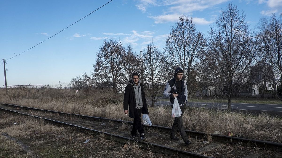 Szerbia felveszi a harcot az illegális migrációval + videó