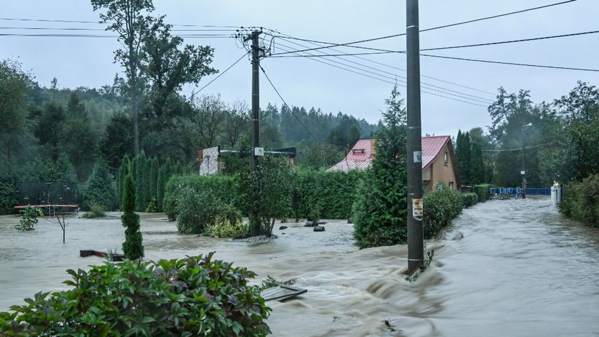 Csehországban 250 ezer háztartás maradt áram nélkül a viharok miatt + videó