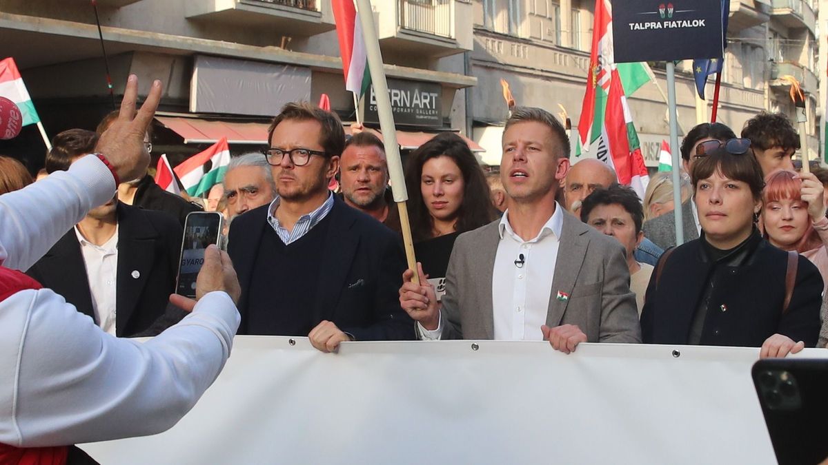 Magyar Péter lengyel támogatója is hazánk lejáratásán dolgozik