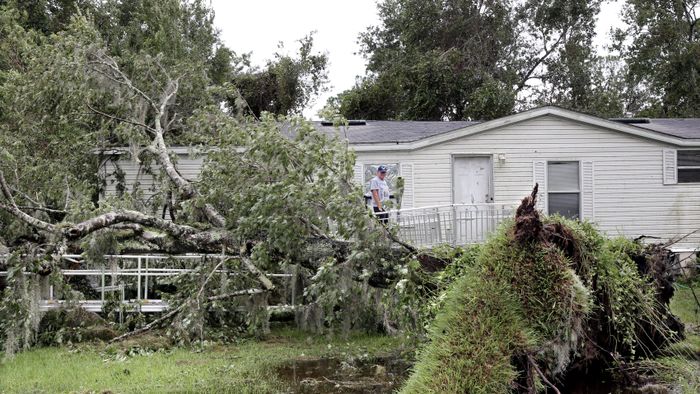 Resident of Kissimmee observes a tree which fell on his house in the wake of Hurricane Milton in Florida