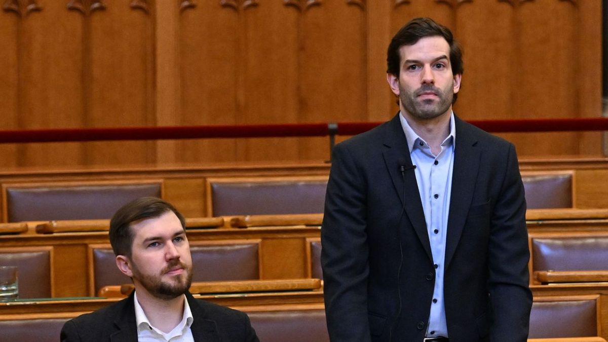 Fegyőr, a kommunista hagyományőrző