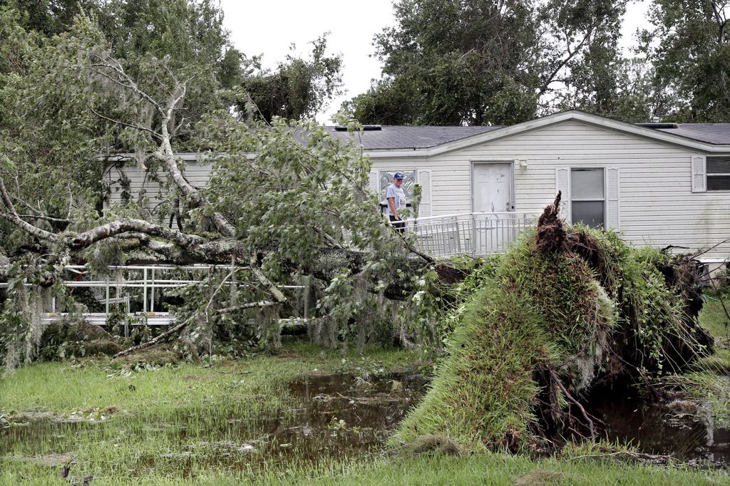 Resident of Kissimmee observes a tree which fell on his house in the wake of Hurricane Milton in Florida