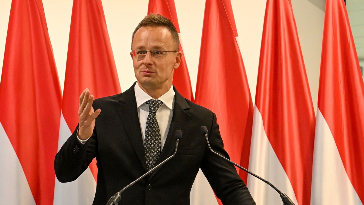 Hungary FM: Killing and Suffering Must End