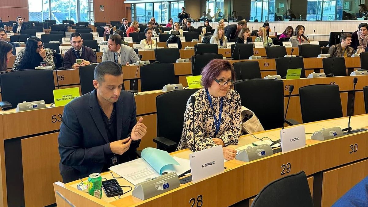 Botrány az EP-ben: magyar helyett a külföldi érdeket képviseli Magyar Péter pártja