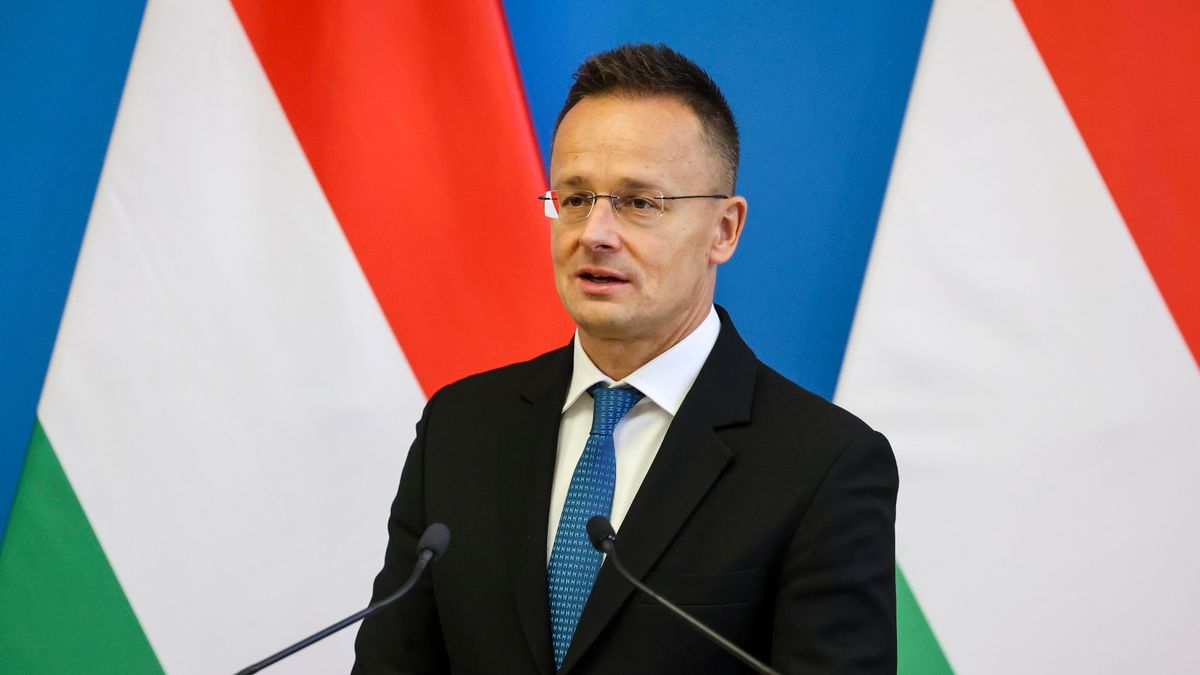 Hungary FM Summons German Ambassador over Scandalous Statements