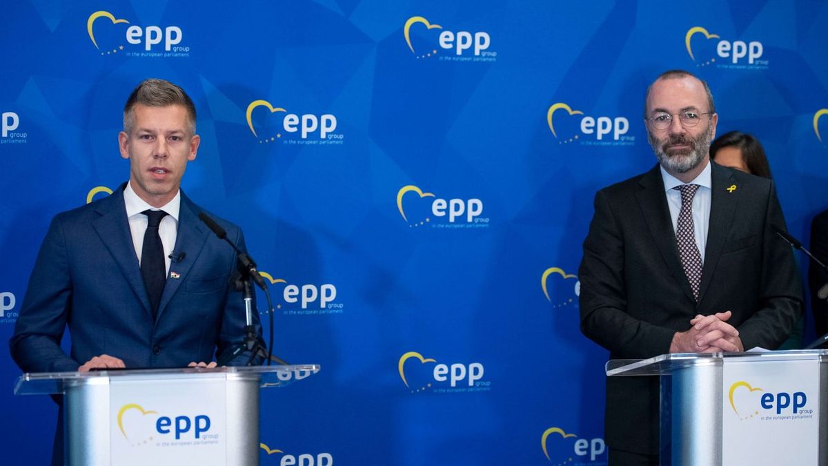Menczer Tamás: Nem meglepő a Weber–Magyar-paktum