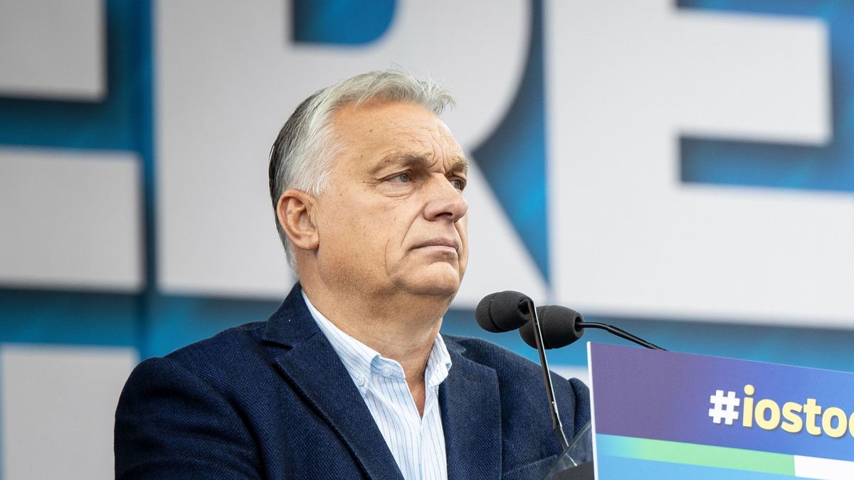 Viktor Orban Was Right Again + Video