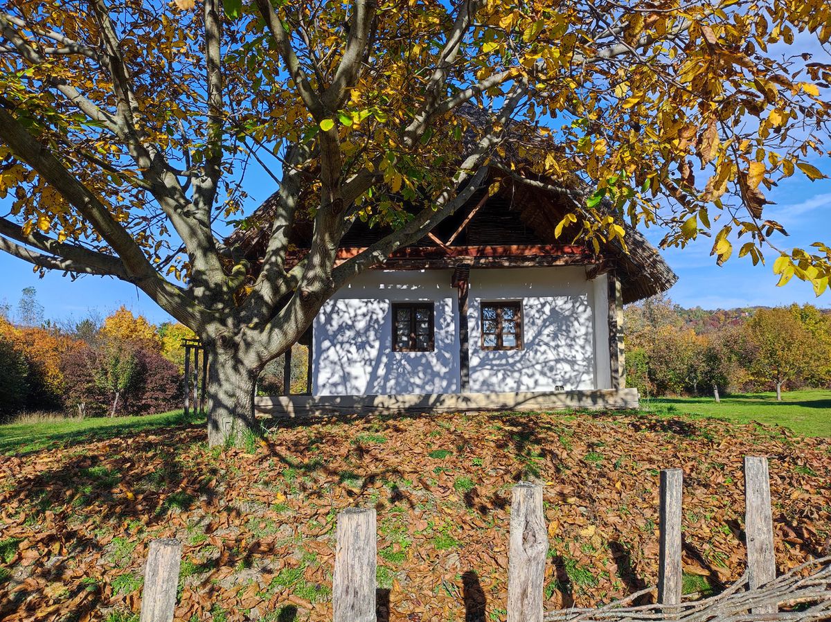 Skanzen