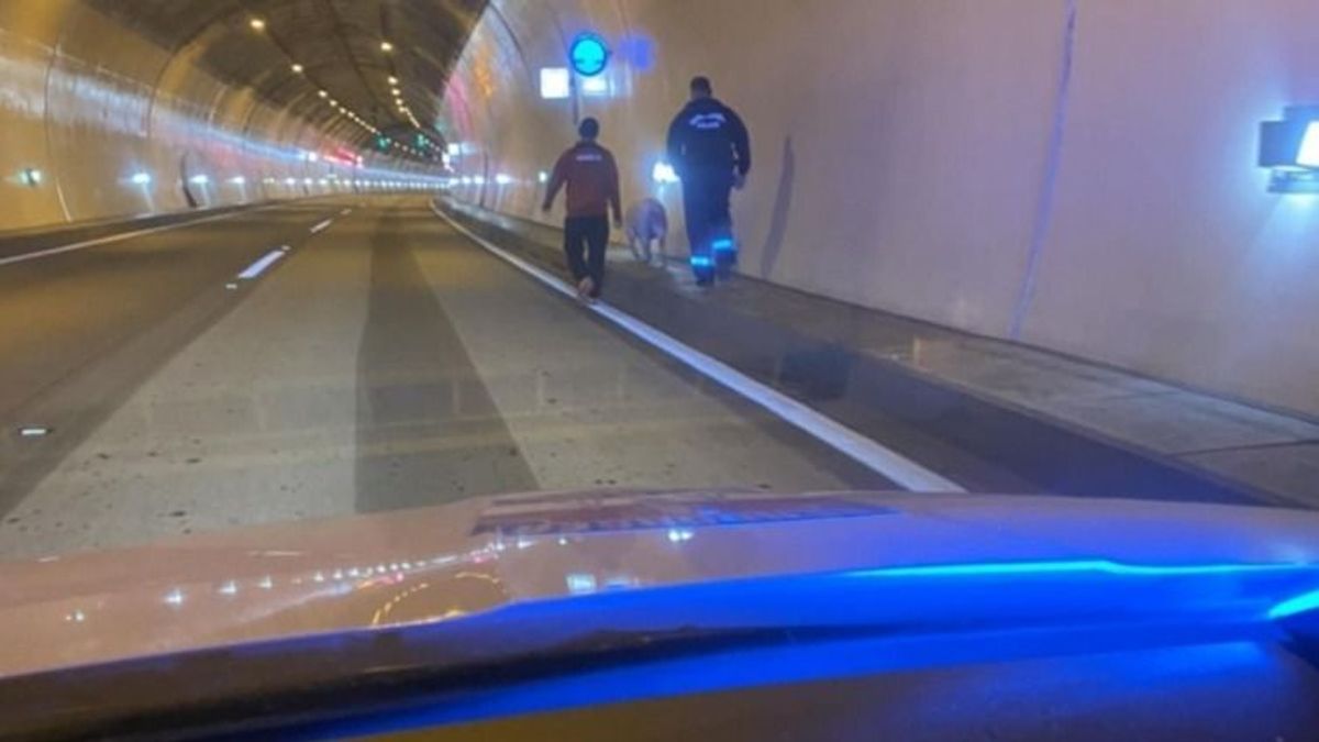 Kiderült, milyen kalamajka miatt kellett lezárni az M6-oson az egyik aluljárót