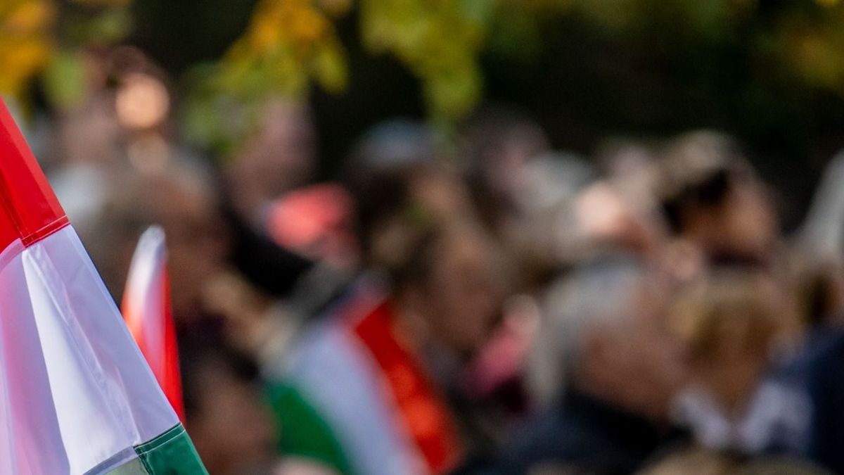 Magyar Péter lelkes híve a rendbontó, aki tapétavágóval ment Orbán Viktor beszédére