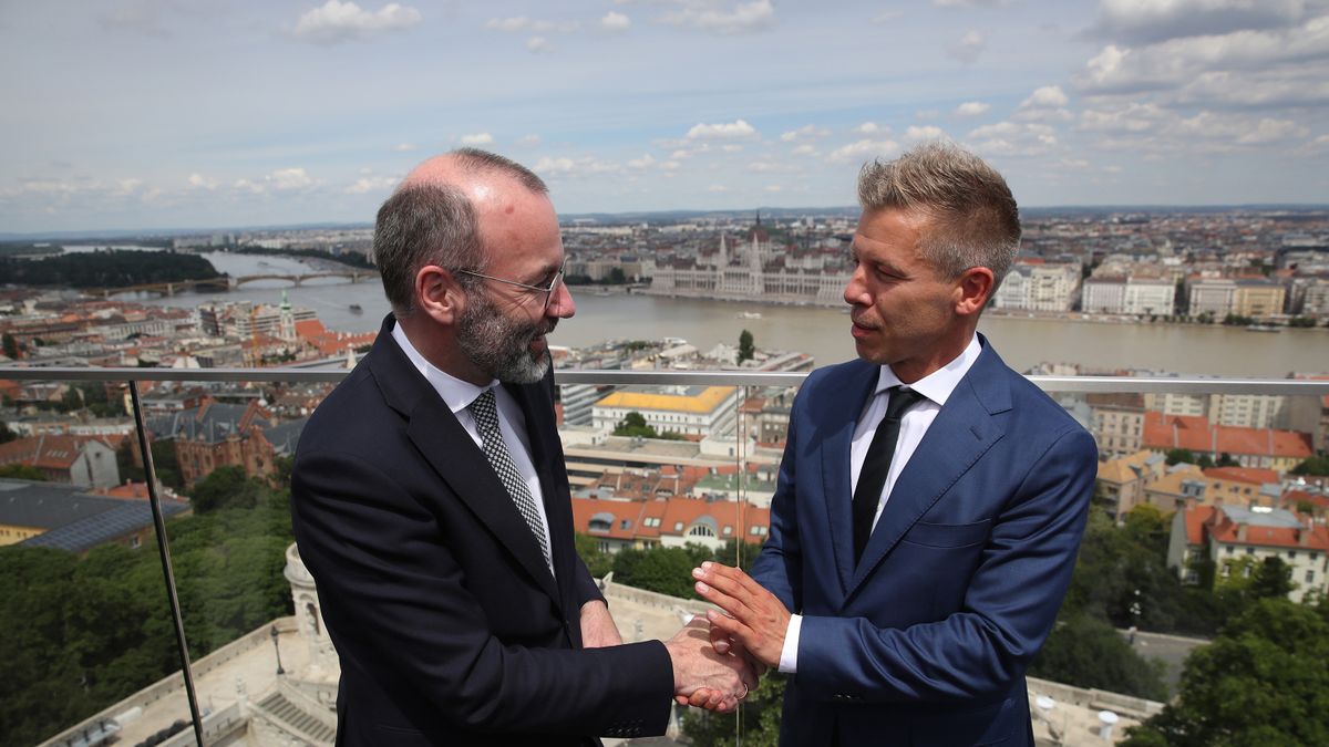 Magyar Péterék az LMBTQ-lobbi mellett szavaztak