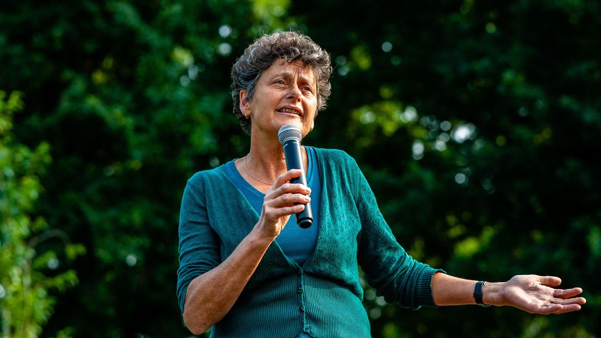 Megvan a legújabb magyarellenes jelentéstevő