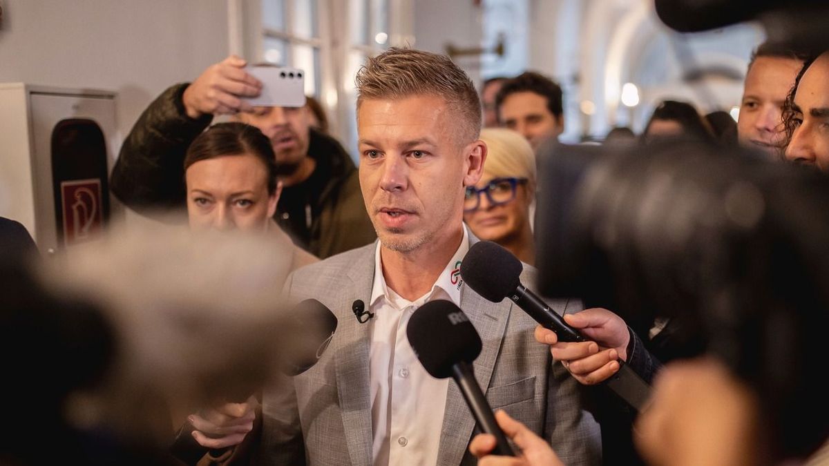 Magyar Péter, az újságírók, meg a kínos emlékű Erzsi néni