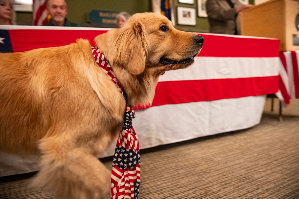 Voters in a New Hampshire hamlet cast the first ballots on US election day