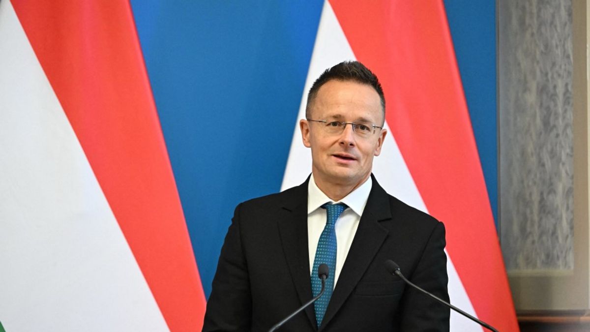 Hungary FM Puts Out Grave Warning