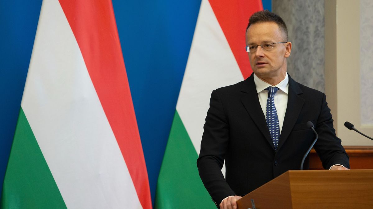 Hungary FM Throws Off Kid Gloves in Assessing Pressman's Ambassadorship