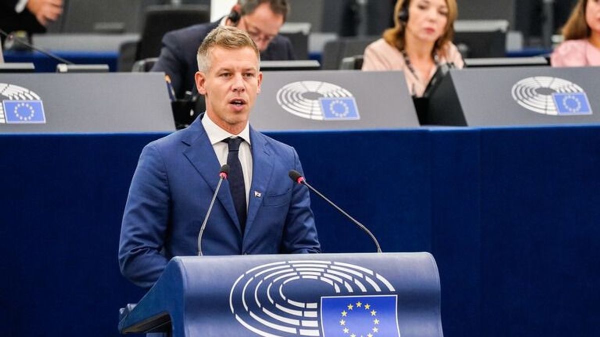 Mutatjuk, mit gondolnak „agyhalott”, „Soros-ügynök” társai Magyar Péterről