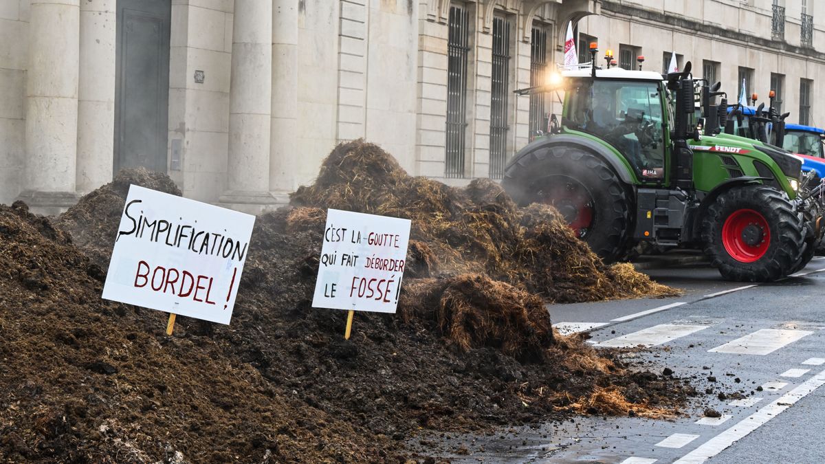 A mezőgazdaság haldoklik a tüntető francia gazdák szerint