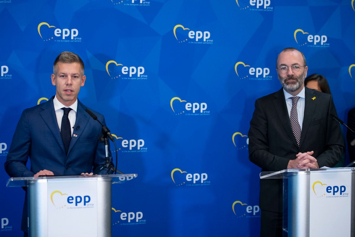 Magyar Péter, és gazdája Manfred Weber