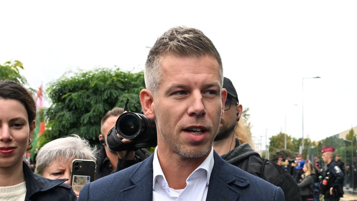 Magyar Péter rendelheti meg a Tisza Pártra nézve kedvező felméréseket?