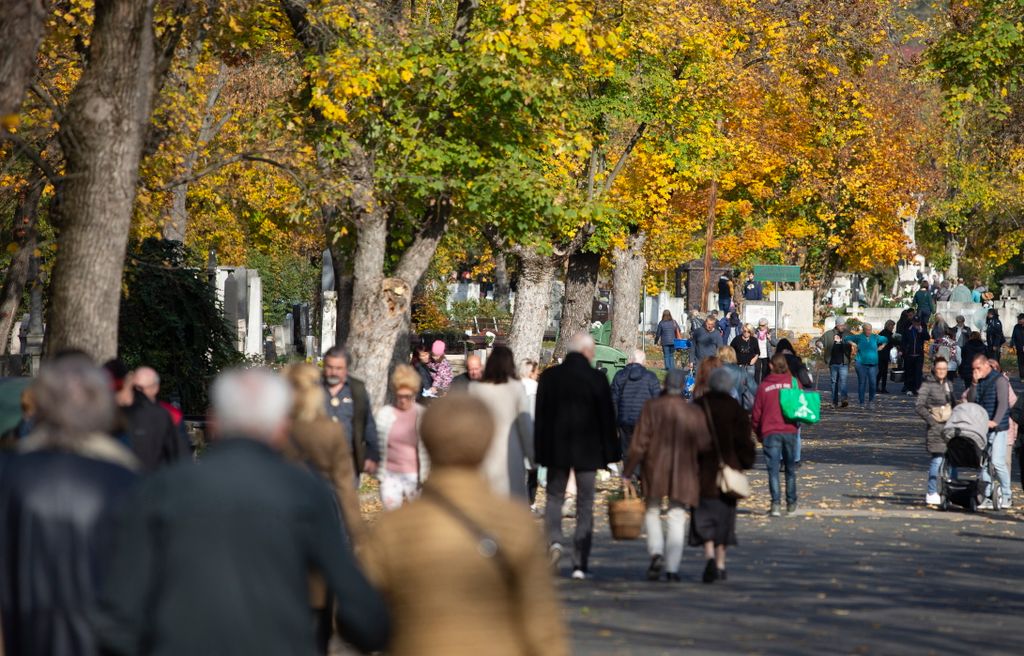 Budapest, 2024. november 1.
Megemlékezõk az óbudai temetõben mindenszentek napján, 2024. november 1-jén.
MTI/Kocsis Zoltán