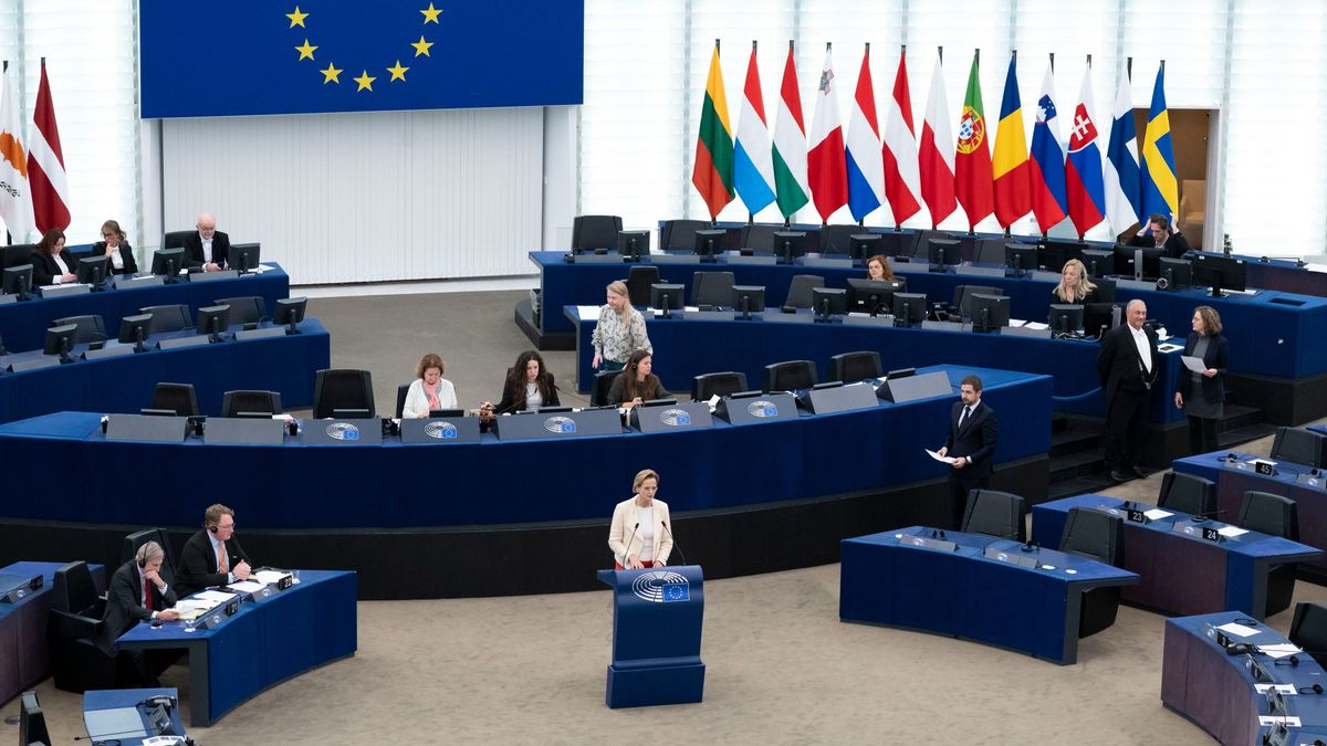 Győri Enikő: Köztörvényes és erőszakos bűnözőknek nincs helyük az Európai Parlamentben