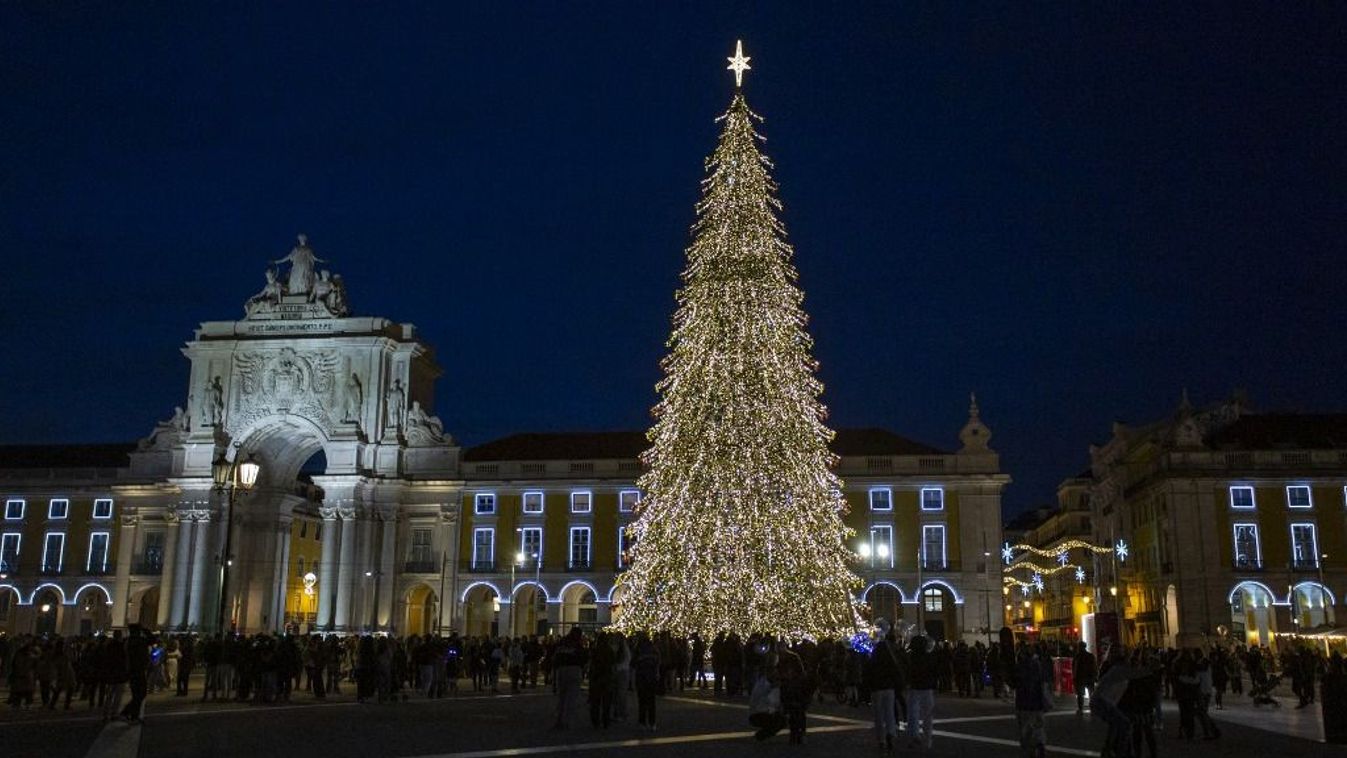 Christmas Tree Lisbon