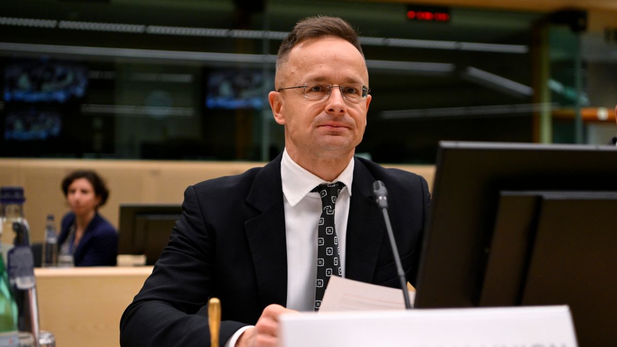 Hungary FM: Only Ceasefire, Peace Talks Can Lead to End of Ukraine War