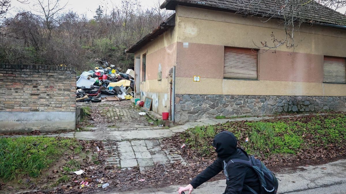 Rettegnek a szomszédok a rengeteg szemetet felhalmozó férfitól és a megjelent patkányoktól + videó