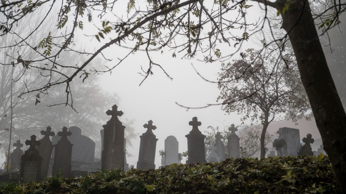 Nem tudták a rokonok, hogy sírjanak vagy nevessenek, olyan szürreális tréfát űzött velük a szerb férfi + videó