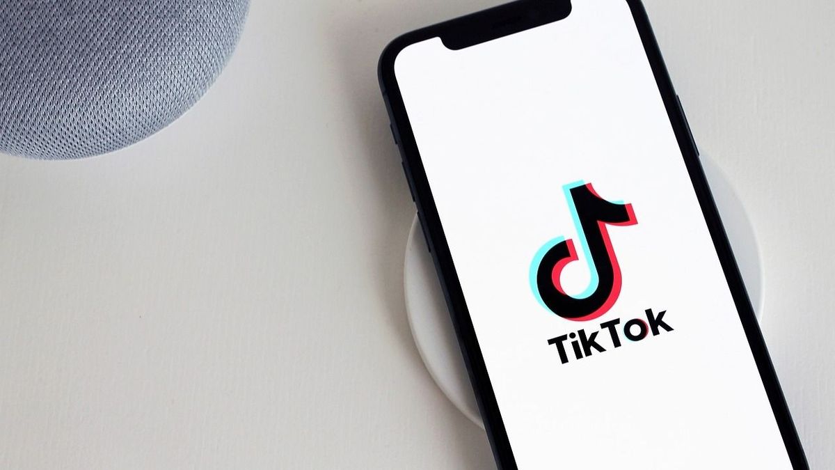 A rendőrség nem játék – Eljárást indítottak a TikTok-kihívással szórakozó nő ellen