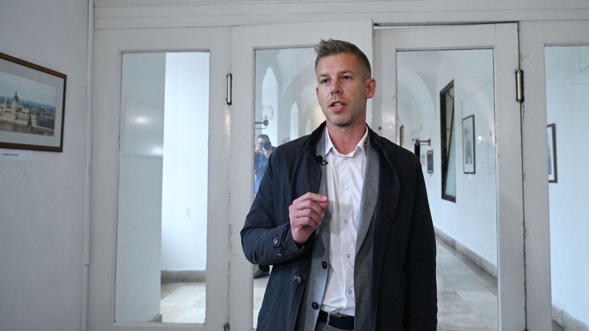 Vitályos Eszter: Az újságírókkal szembeni agresszív viselkedés jelenleg a Tisza Pártra jellemző + videó