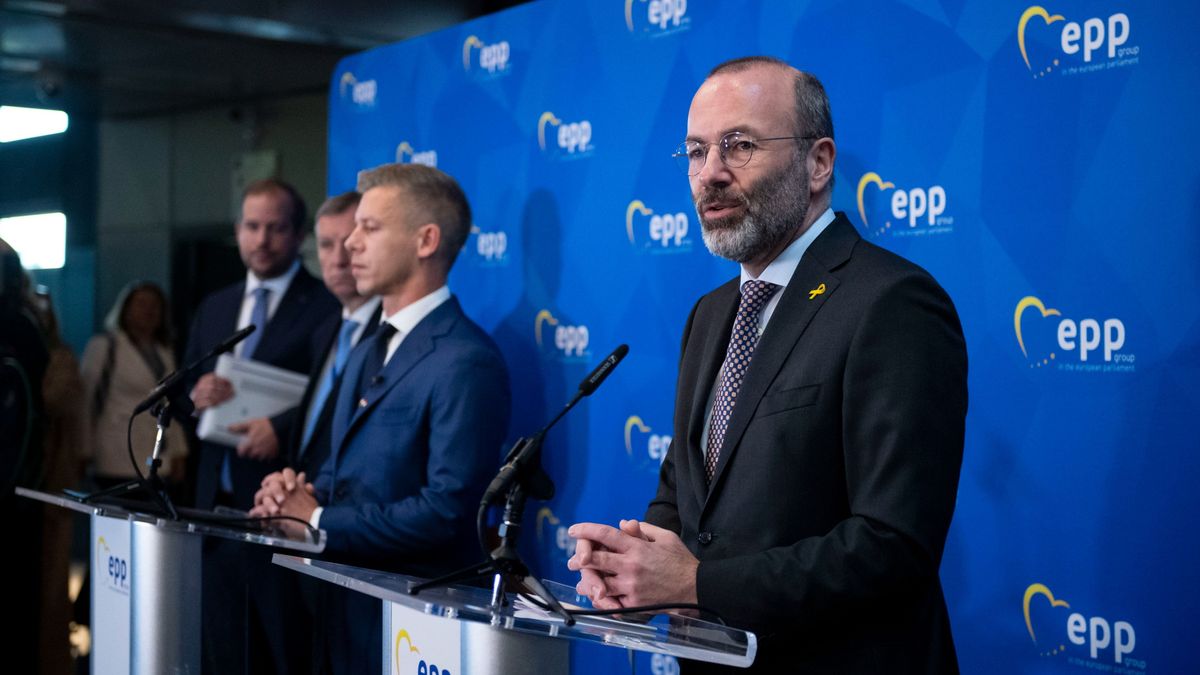 Így rángatja dróton Manfred Weber Magyar Pétert