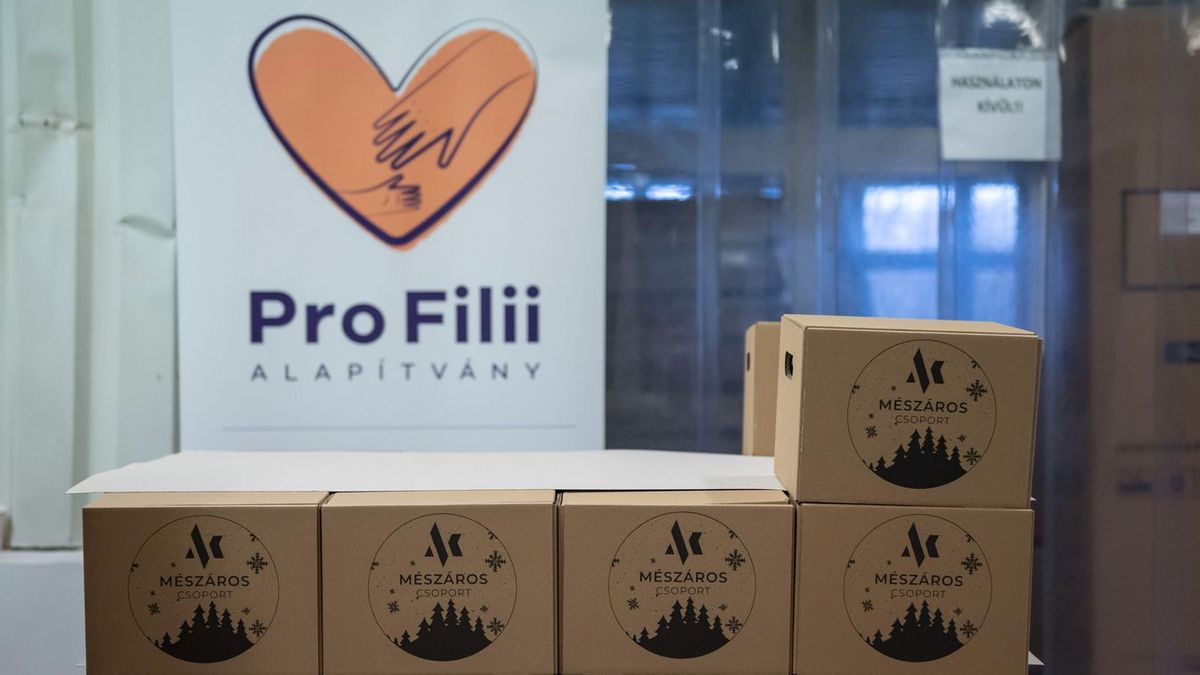 Idén közel egymilliárd forintot fordított adományozásra a Pro Filii Alapítvány