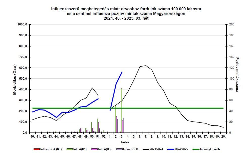 Látható a Nemzeti Népegészségügyi és Gyógyszerészeti Központ járványgörbéjén, hogy az idei járvány még felfutóban van (kék vonal) és már a járványküszöb (zöld vonal)  felett jár. A görbe meredekebben emelkedik, mint tavaly (szürke vonal) Fotó: Nemzeti Népegészségügyi és Gyógyszerészeti Központ