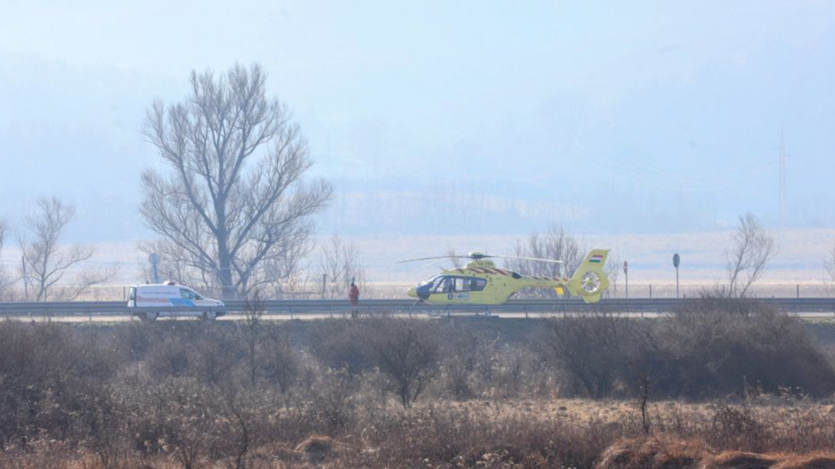 A sofőr életét vesztette a balesetben a 21-es főúton