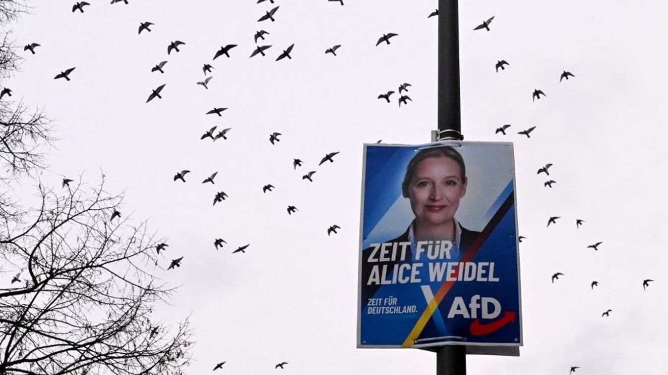 Egy választási kampányplakát, amelyen a német jobboldali Alternatíva Németországnak (AfD) párt fő jelöltjének, Alice Weidelnek az arcképe látható Frankfurt am Mainban