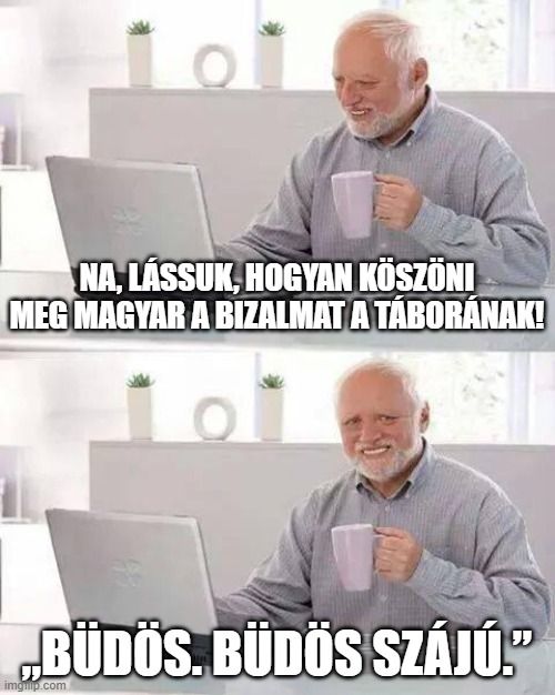 Magyar Péter mém