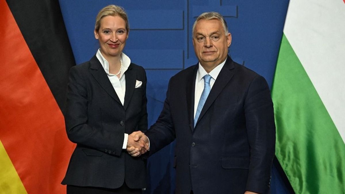 Orbán Viktor gratulált Alice Weidelnek