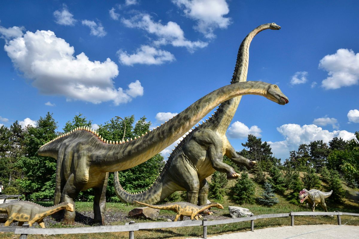 Veszprém, 2021. július 3.
Diplodocus longus, óriási növényevő őshüllők élethű másolatai a veszprémi állatkertben, hivatalos nevén a Kittenberger Kálmán Növény- és Vadasparkban, Magyarország harmadikként alapított állatkertjének 2016-ban megnyílt dinoszaurusz-kiállításán.
MTVA/Bizományosi: Róka László 
***************************
Kedves Felhasználó!
Ez a fotó nem a Duna Médiaszolgáltató Zrt./MTI által készített és kiadott fényképfelvétel, így harmadik személy által támasztott bárminemű – különösen szerzői jogi, szomszédos jogi és személyiségi jogi – igényért a fotó szerzője/jogutódja közvetlenül maga áll helyt, az MTVA felelőssége e körben kizárt.