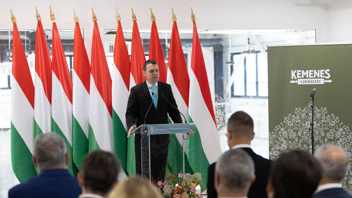 Ez Németország: terror, gyilkosságok, gázolások, késelések…