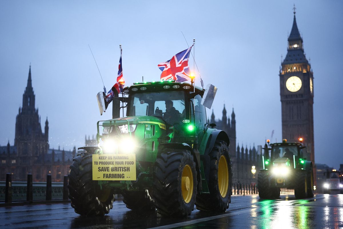 A Londonban felvonuló gazdák szerint a kormány döntése tönkreteszi a mezőgazdaságot